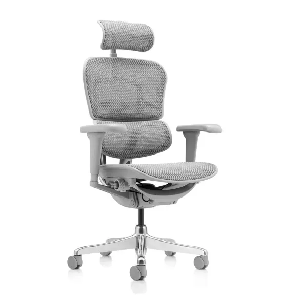 Офисное кресло Ergohuman Ultra Серый Корпус
